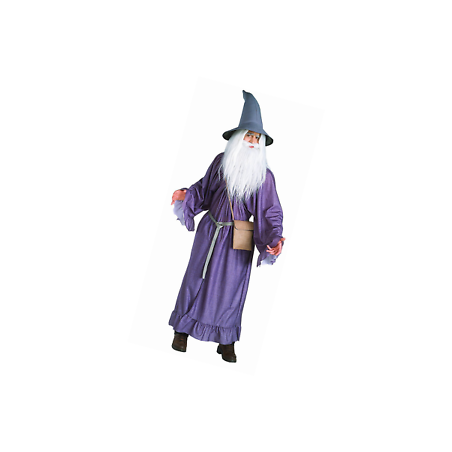 DEGUISEMENT GANDALF LE SEIGNEUR DES ANNEAUX