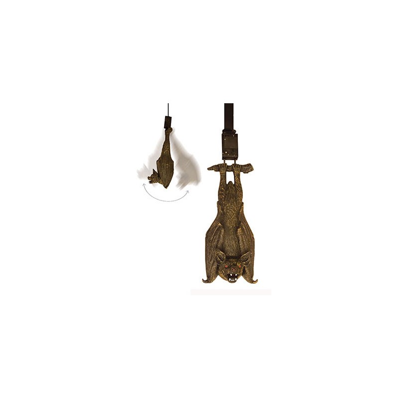 CHAUVE SOURIS EN MOUVEMENT CHAUVE SOURIS EN MOUVEMENT