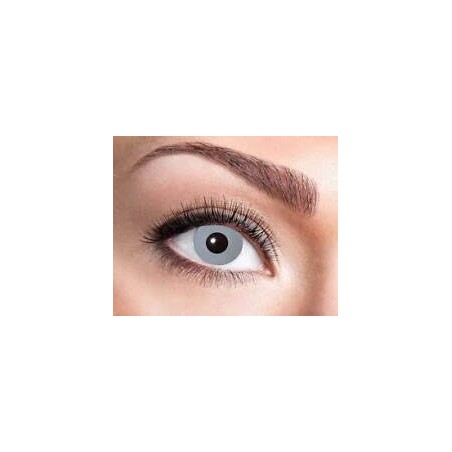 LENTILLES HEBDOMADAIRE GREY GRISES