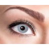 LENTILLES HEBDOMADAIRE GREY GRISES
