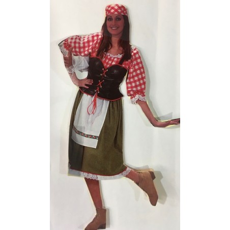 DEGUISEMENT HEIDI DES CAMPAGNES TAILLE 42