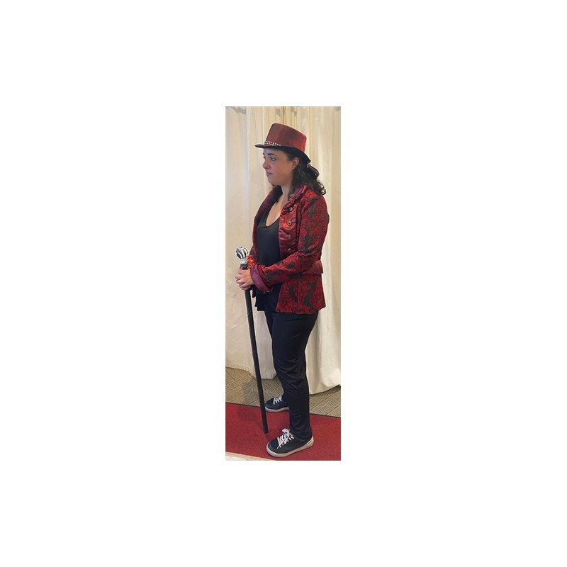 DEGUISEMENT VESTE BAROQUE ROUGE TAILLE M DEGUISEMENT VESTE BAROQUE ROUGE TAILLE M