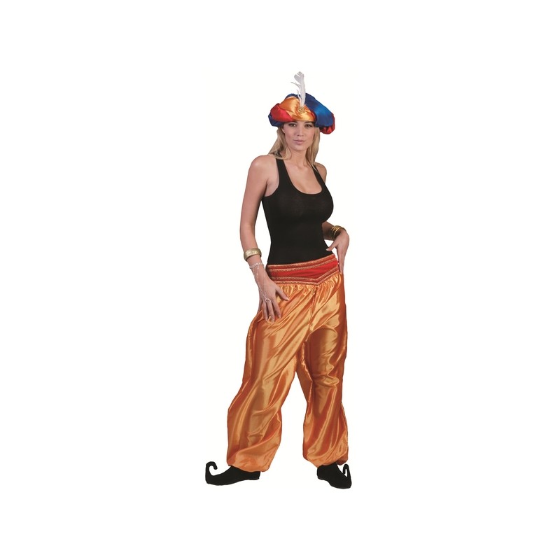 DEGUISEMENT PANTALON ARABE FEMME TAILLE UNIQUE DEGUISEMENT PANTALON ARABE FEMME TAILLE UNIQUE