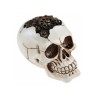 LA MECANIQUE TETE DE MORT 10 CM ENVIRON