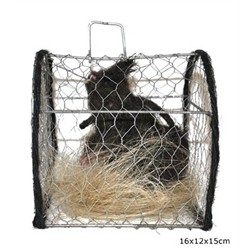 PIEGE A RAT AVEC RAT