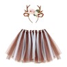SET TUTU SERRE-TETE RENNE 