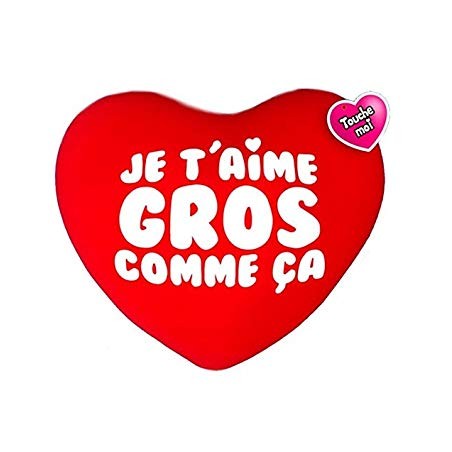 COUSSIN 50 CM  JE T'AIME GROS COMME CA 