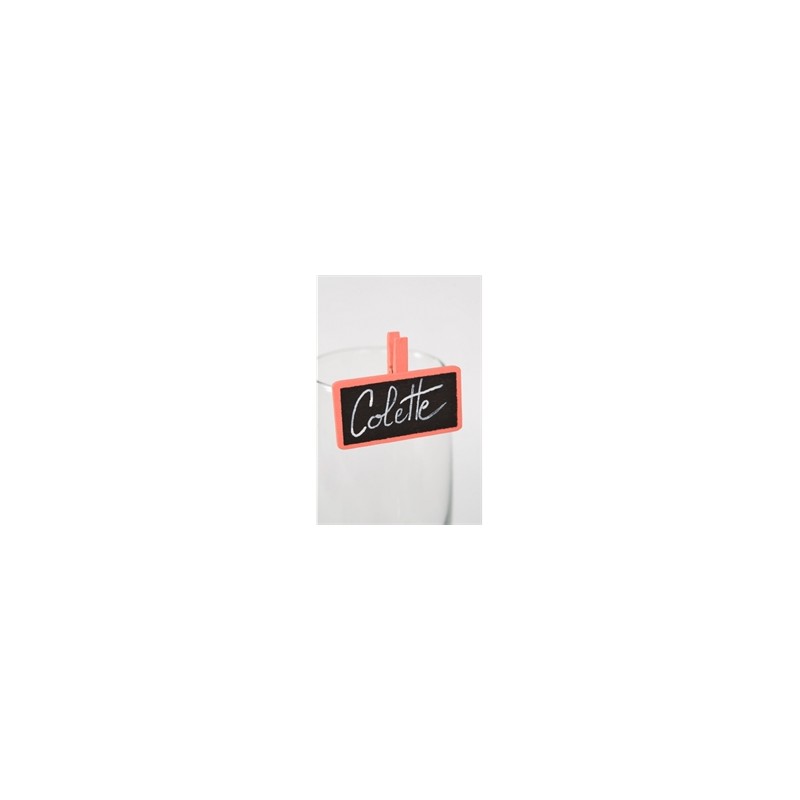 12 PINCES AVEC ARDOISE CORAIL