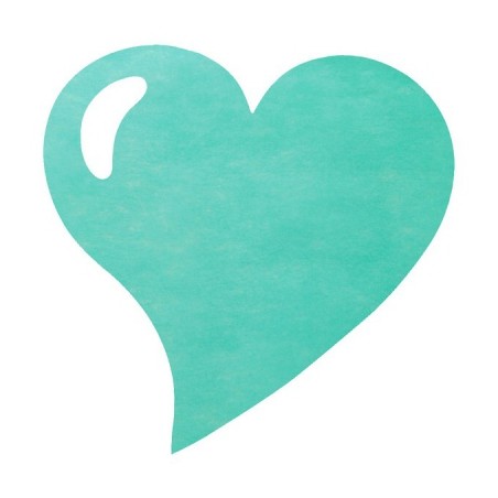 50 SETS DE TABLE COEUR MENTHE 