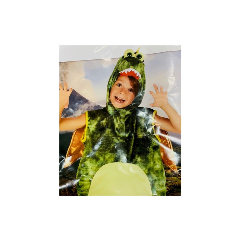 DEGUISEMENT DINOSAURE VERT AVEC LES AILES TAILLE XS 2-3 ANS DEGUISEMENT DINOSAURE VERT AVEC LES AILES TAILLE XS 2-3 ANS