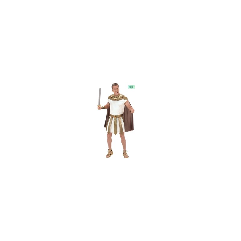DEGUISEMENT DIEU ROMAIN BEIGE ET BORDEAU TAILLE S DEGUISEMENT DIEU ROMAIN BEIGE ET BORDEAU TAILLE S