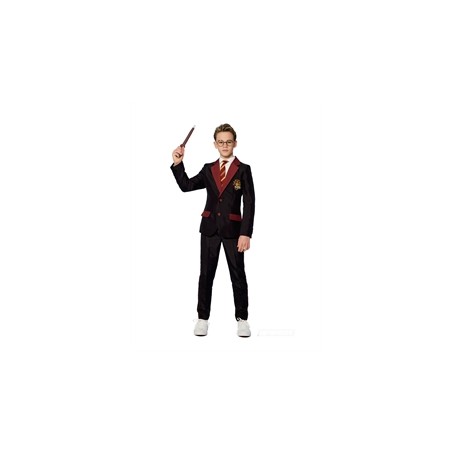 DEGUISEMENT MR. GRYFFONDOR SUITMESITER HARRY POTTER TAILLE 14-16 ANS
