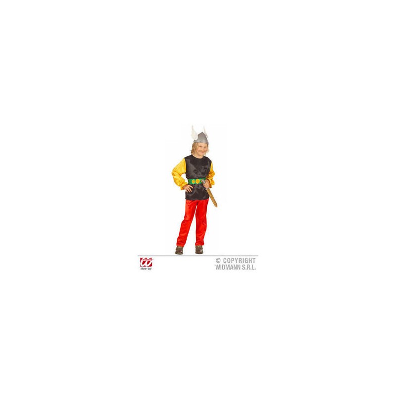 DEGUISEMENT GAULOIS ASTERIX TAILLE L 158 CM DEGUISEMENT GAULOIS ASTERIX TAILLE L 158 CM