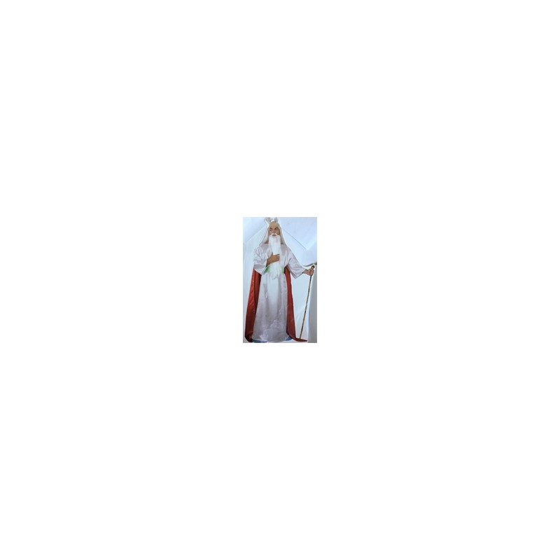 DEGUISEMENT MAGICIEN POTION MAGIQUE TAILLE M/L DEGUISEMENT MAGICIEN POTION MAGIQUE TAILLE M/L