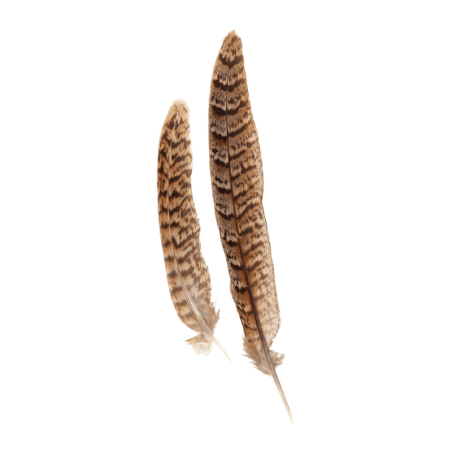 PLUMES NATUREL 16 CM