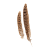 PLUMES NATUREL 16 CM