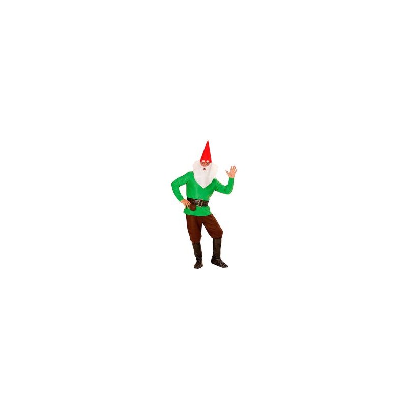 DEGUISEMENT NAIN VERT TAILLE M DEGUISEMENT NAIN VERT TAILLE M