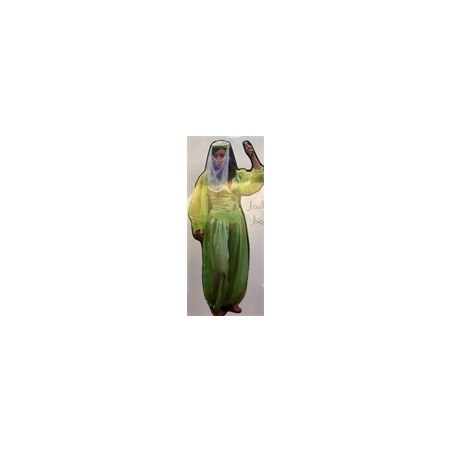 DEGUISEMENT FEMME BELLE DE NUIT VERT TAILLE 40
