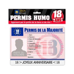 PERMIS HUMOUR 18 ANS HOMME 