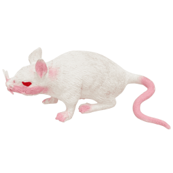 RAT BLANC STRETCH 16.5 X 3.5 X 5 CM 