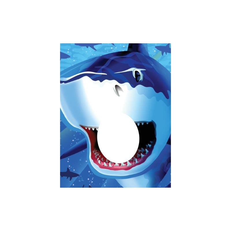 STAND PHOTO REQUIN STAND PHOTO REQUIN