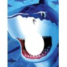 STAND PHOTO REQUIN 