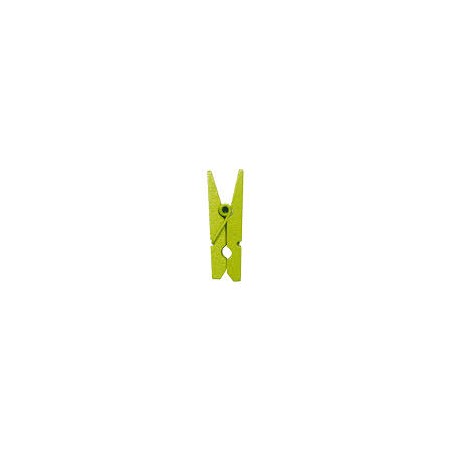 12 PINCES BOIS VERT