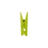 12 PINCES BOIS VERT