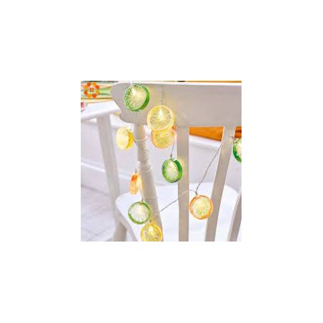 GUIRLANDE DE FRUITS LED 1.5 METRES