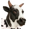 MASQUE LATEX VACHE 