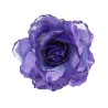 ROSE COULEUR VIOLETTE