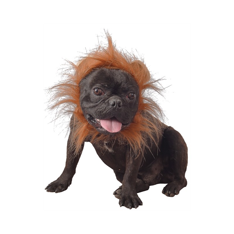 DEGUISEMENT DE LION POUR CHIEN
