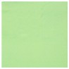 25 SERVIETTES COCKTAIL RAINBOW MENTHE 20 X 21 CM 
