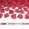 CANON A CONFETTIS PETALES ROUGE 80 CM