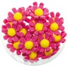 BOITE 18 FLEURS FUSHIA 3.5 CM 
