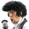 PERRUQUE ELVIS ROI DU ROCK N ROLL 
