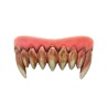 DENTIER DE MONTRE SANGLANT 