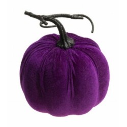 CITROUILLE VELOURS VIOLET 17 X 17 CM 