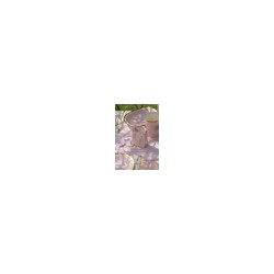 6 SACHETS PASSE PARTOUT ROSE POIS OR 6 x 3 x 7 CM